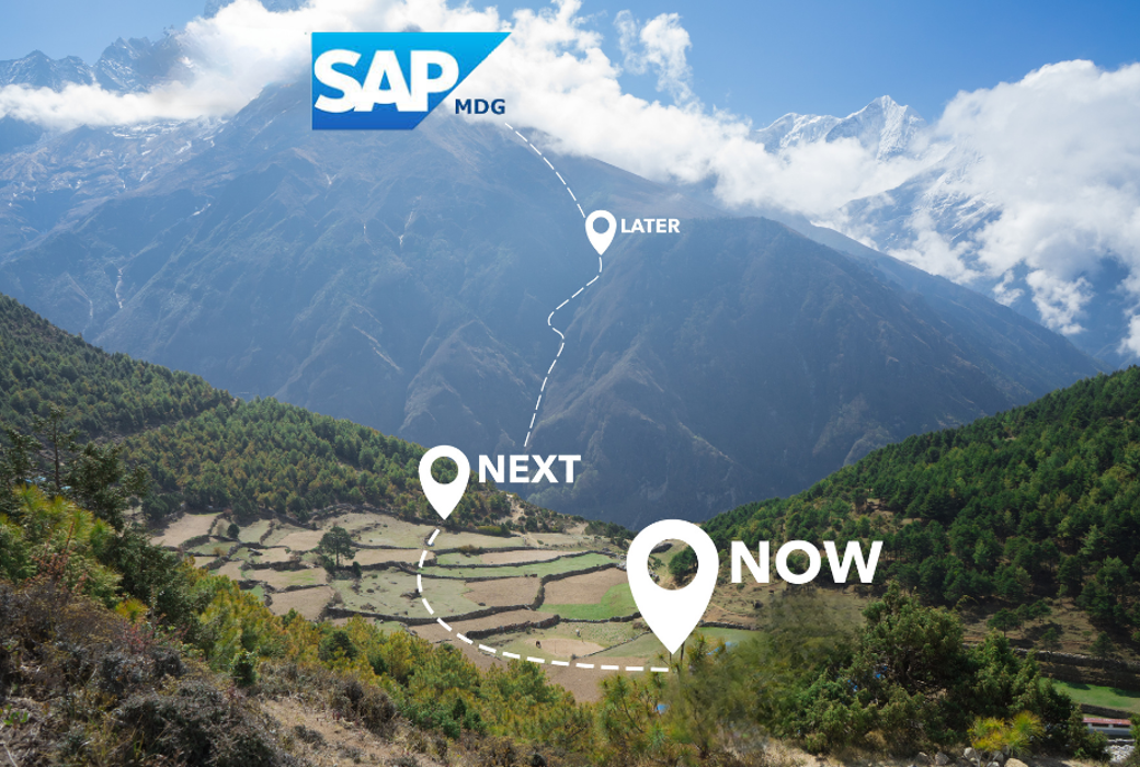 SAP MDG Roadmap Blog (1)